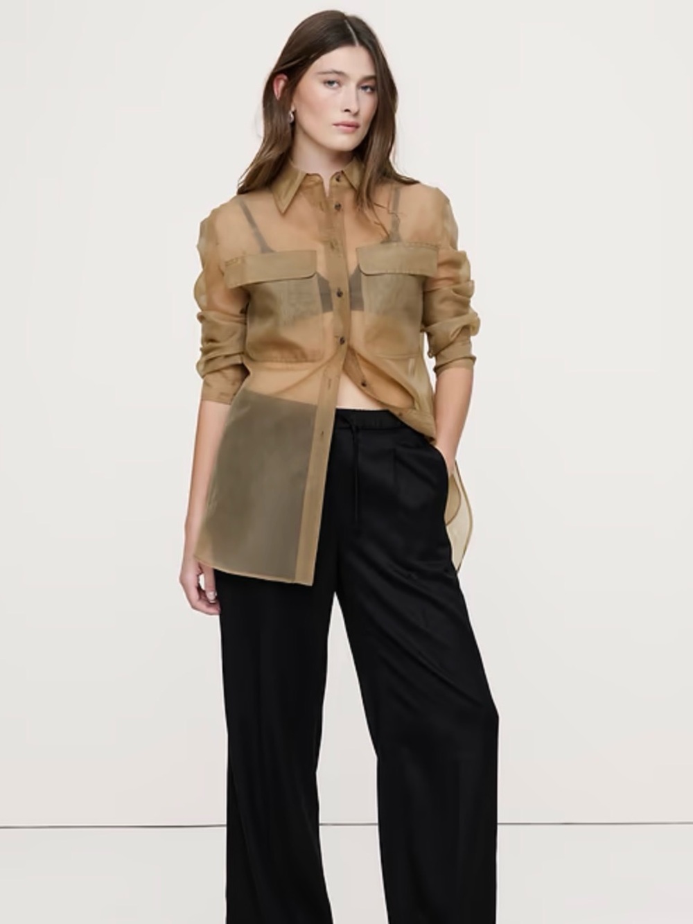 Banana Republic | Sheer Tan Button-Up Shirt | Size M